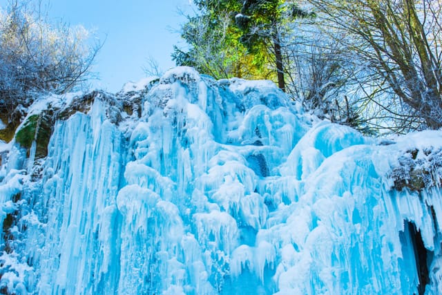 Nami Island with Eobi Ice Valley - Photo 1 of 4